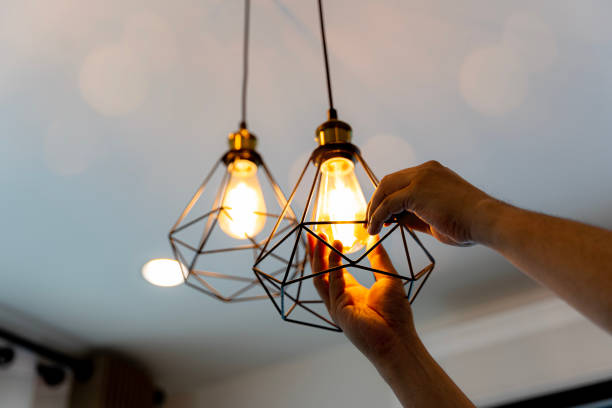 Best Electric Panel Repair  in Wyanet, IL
