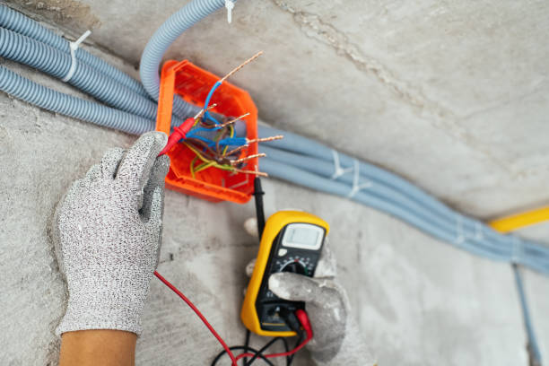 Best Affordable Electrician  in Wyanet, IL